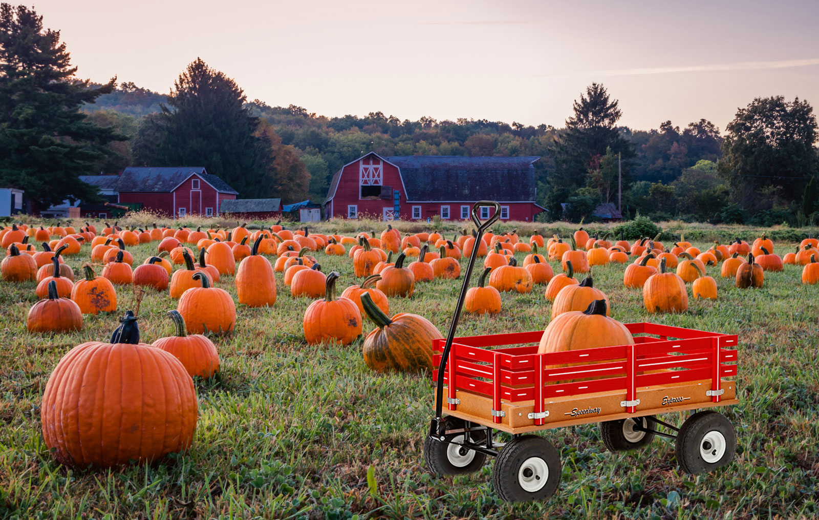 pumpkin work wagons