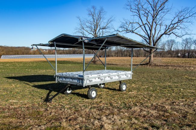 produce wagon with canopy