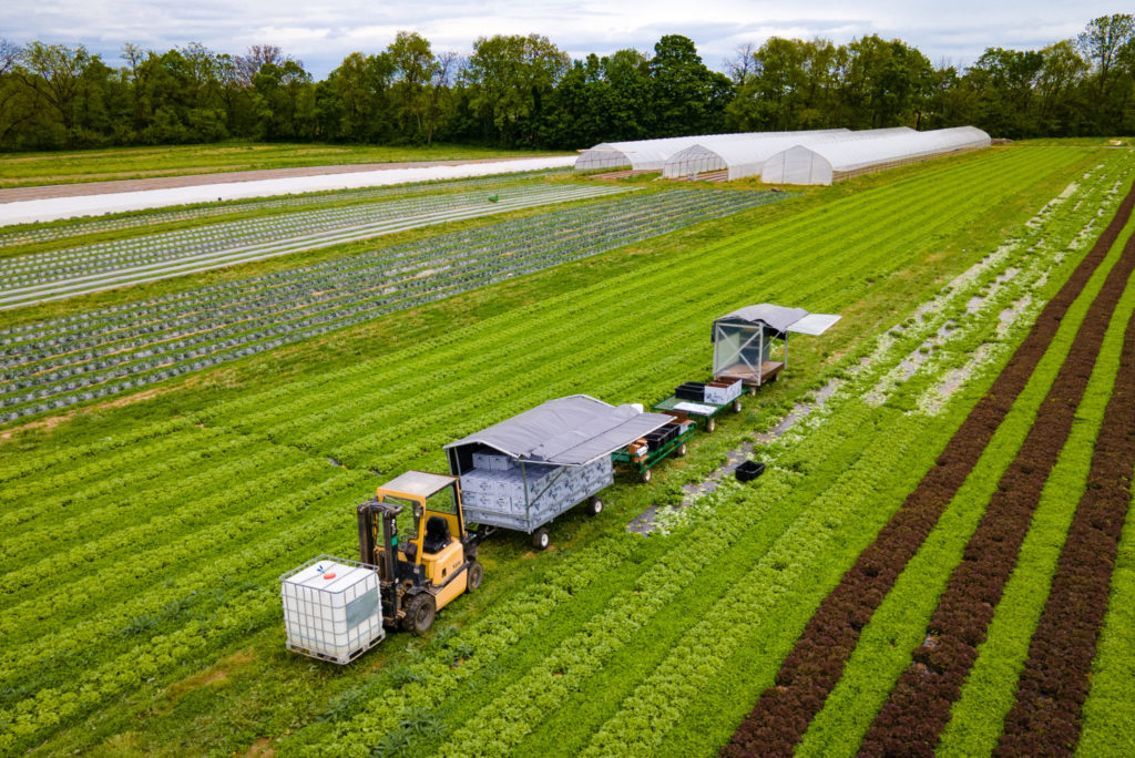 farm produce wagon