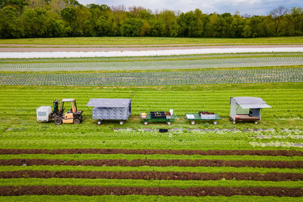 hay and produce wagon