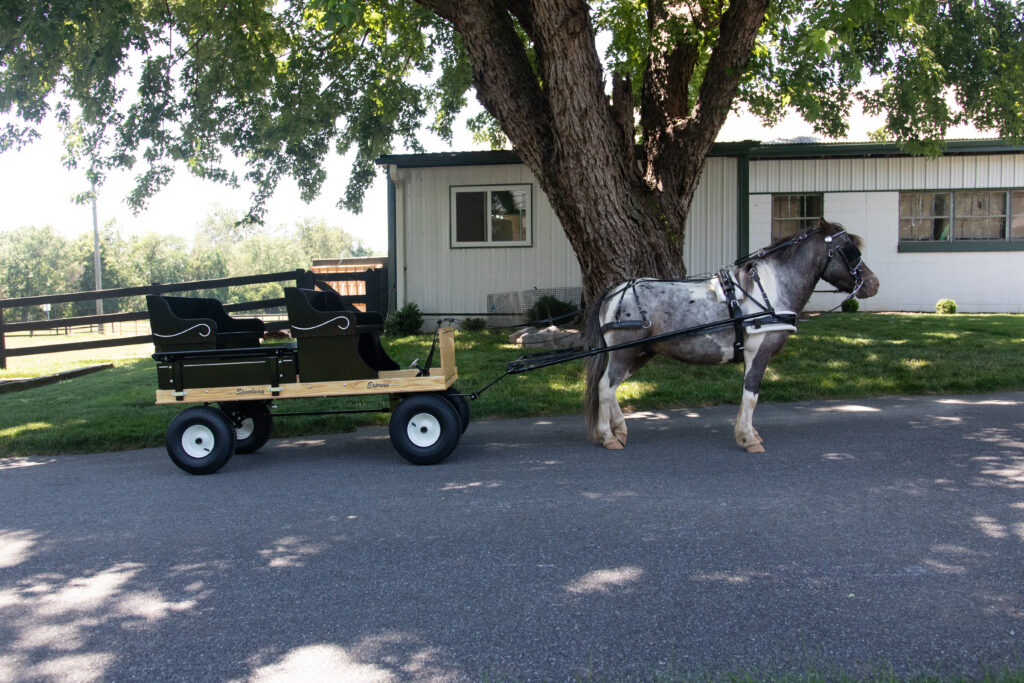 pony cart for kids