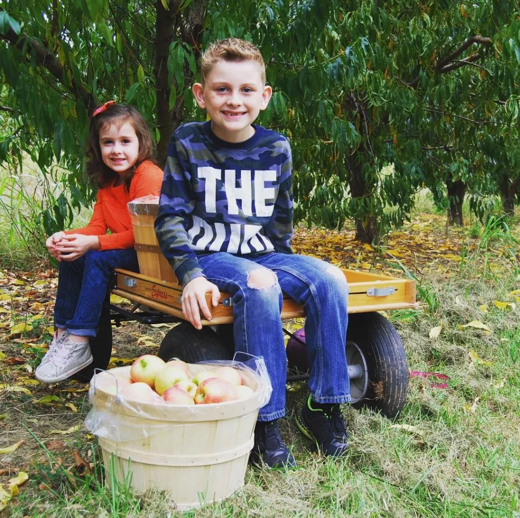 kids on farm wagon